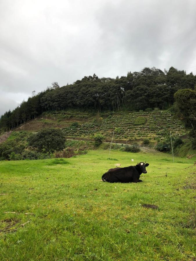 באניוס Premium Holiday Cabin - Spectacular Tungurahua Volcano View מראה חיצוני תמונה