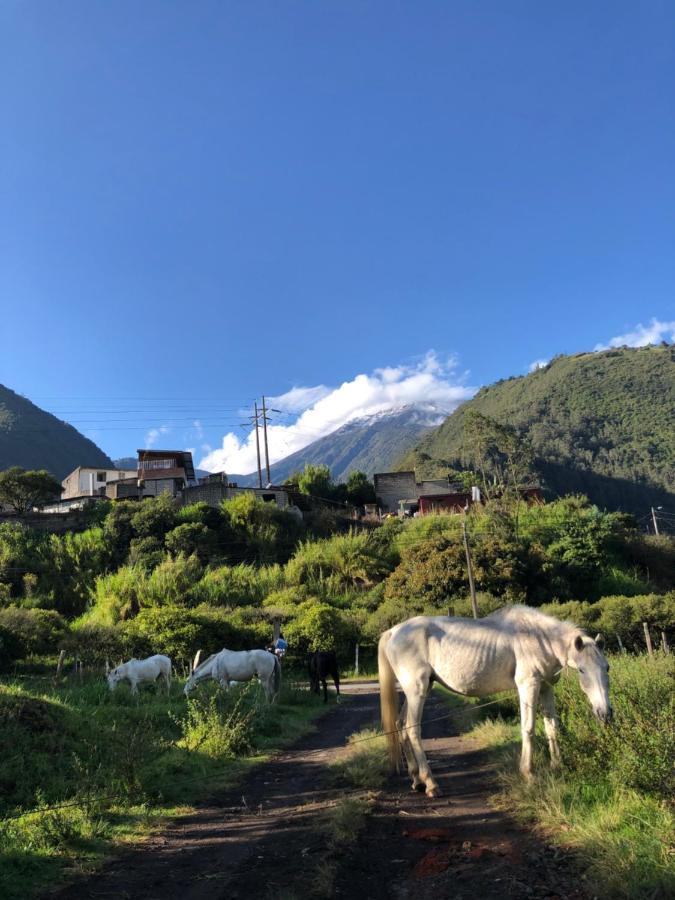 באניוס Premium Holiday Cabin - Spectacular Tungurahua Volcano View מראה חיצוני תמונה